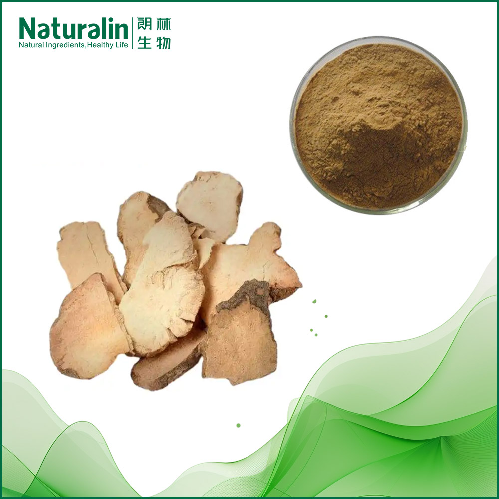 Glabrous Greenbrier Rhizome Extract