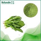 Spinach Extract