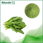 Spinach Extract