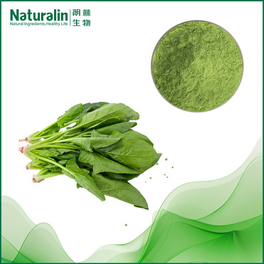 Spinach Extract