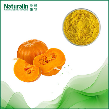 Pumpkin Extract