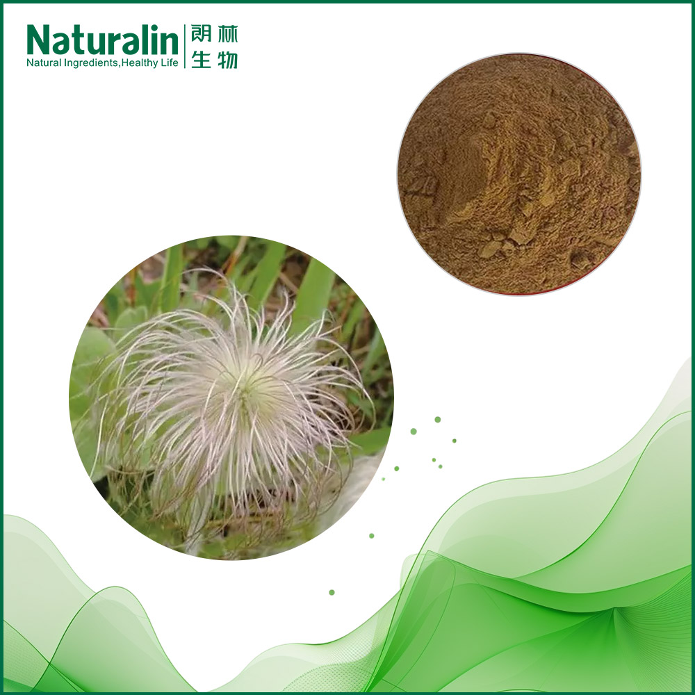 Chinese pulsatilla Root Extract