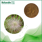 Chinese pulsatilla Root Extract