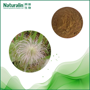 Chinese pulsatilla Root Extract
