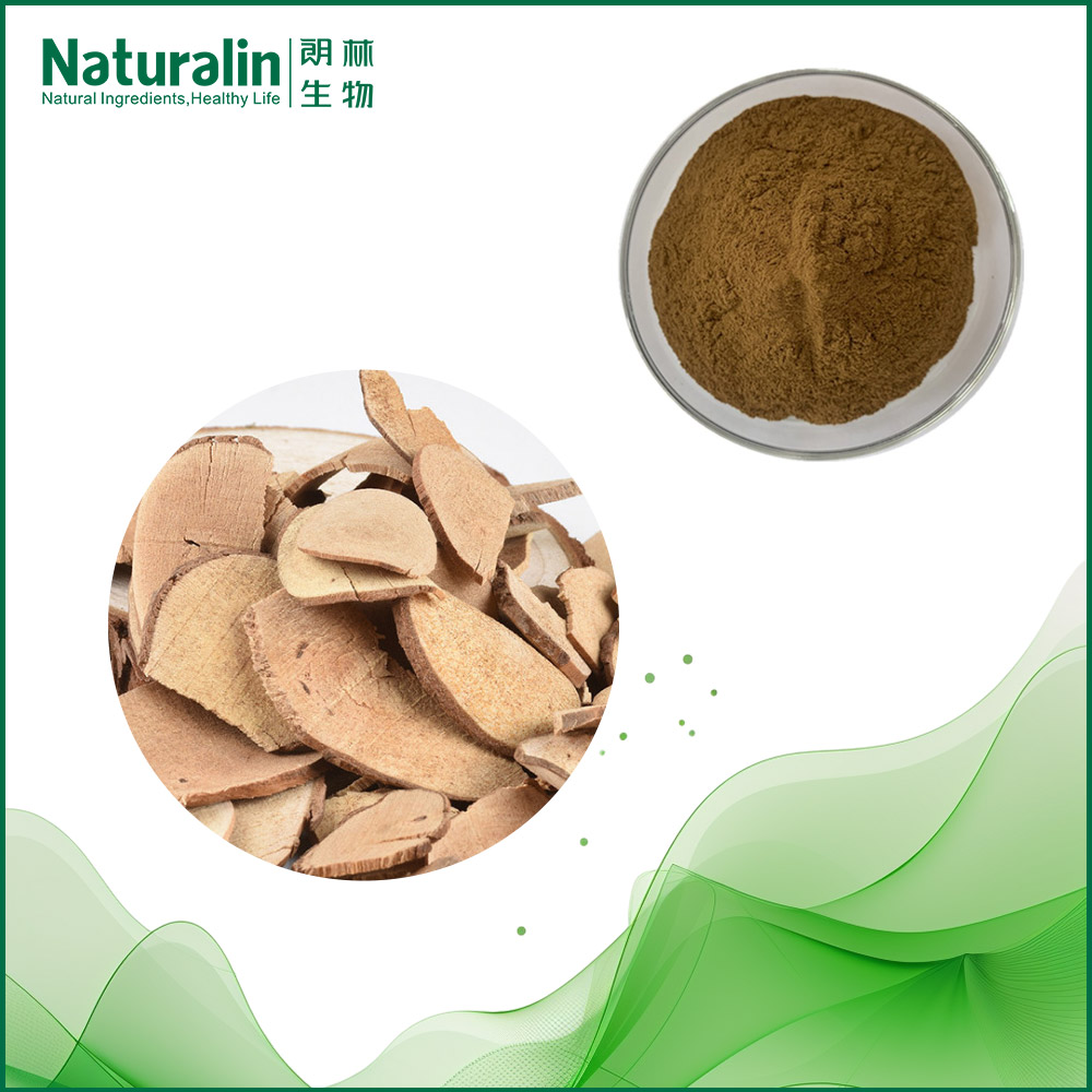 Combined Spicebush Root Extract
