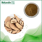 Combined Spicebush Root Extract