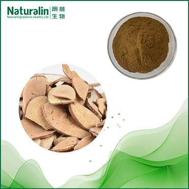Combined Spicebush Root Extract