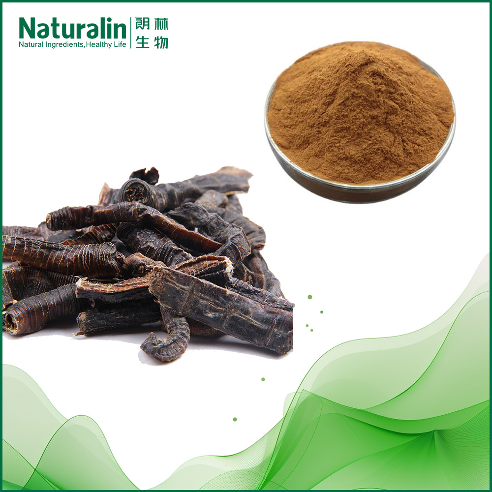 Earthworm Extract