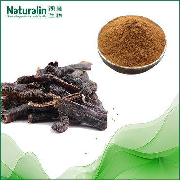 Earthworm Extract
