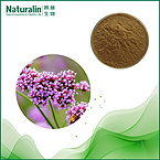 Herba Verbenae Extract
