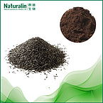 Pu'er tea extract