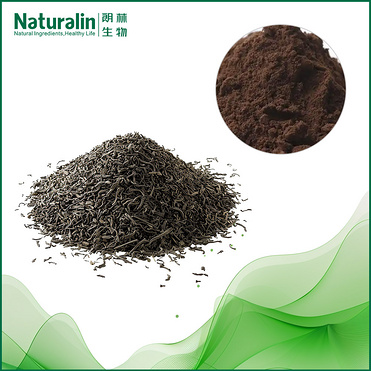 Pu'er tea extract