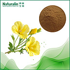 Evening Primrose Extract