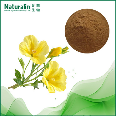 Evening Primrose Extract