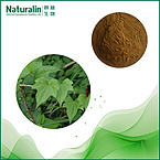 Yam rhizome Extract