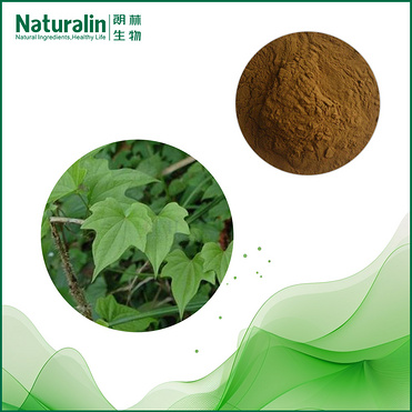 Yam rhizome Extract