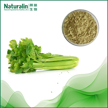 Celery Extract