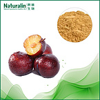 Plum Extract