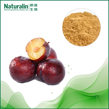 Plum Extract