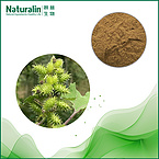 Siberian Cocklebur Fruit Extract
