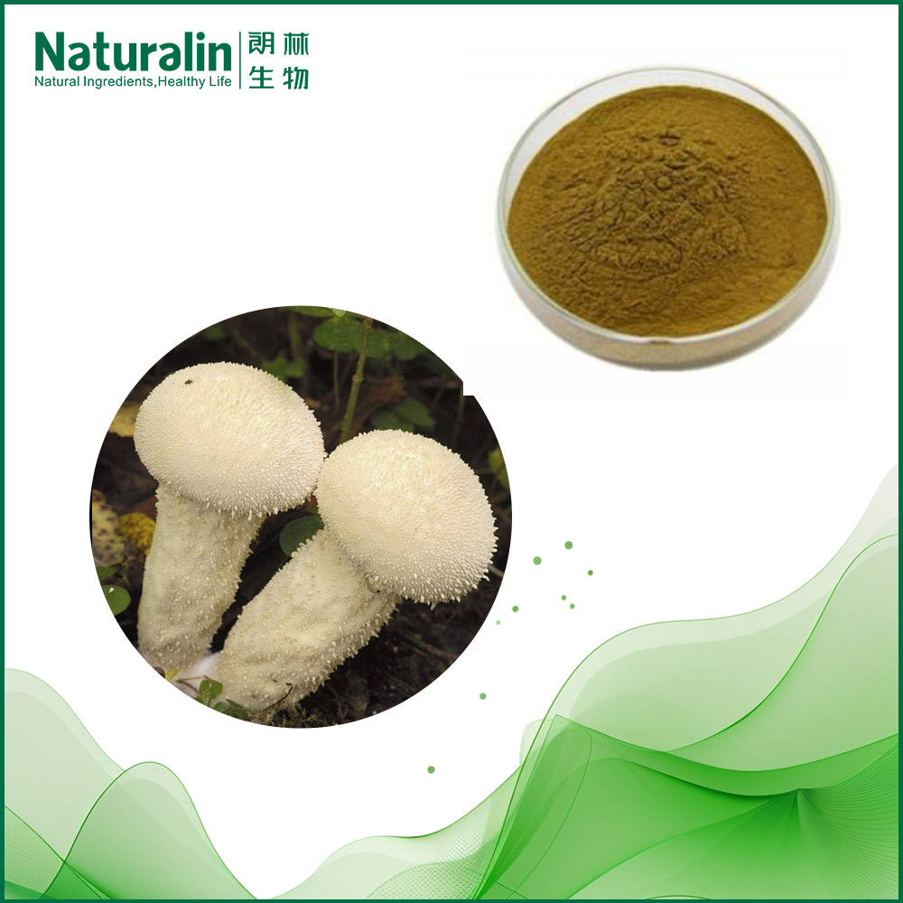 Calvatia gigantea Extract