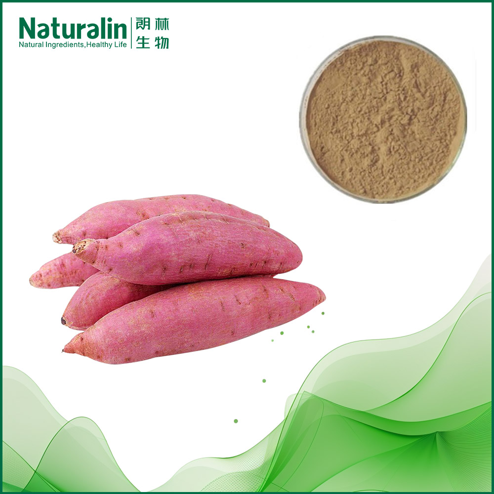 Sweet potato Extract  
