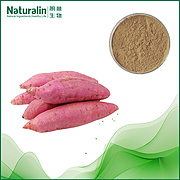 Sweet potato Extract