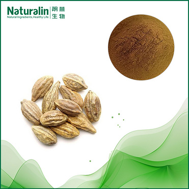 Myrobalan Extract