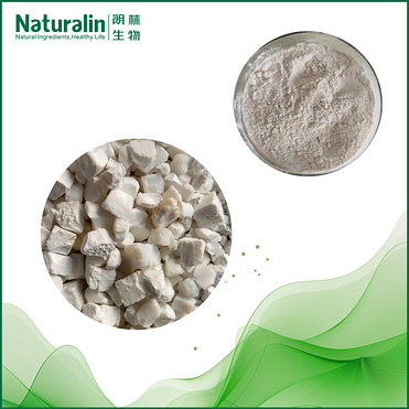 Tabasheer Extract