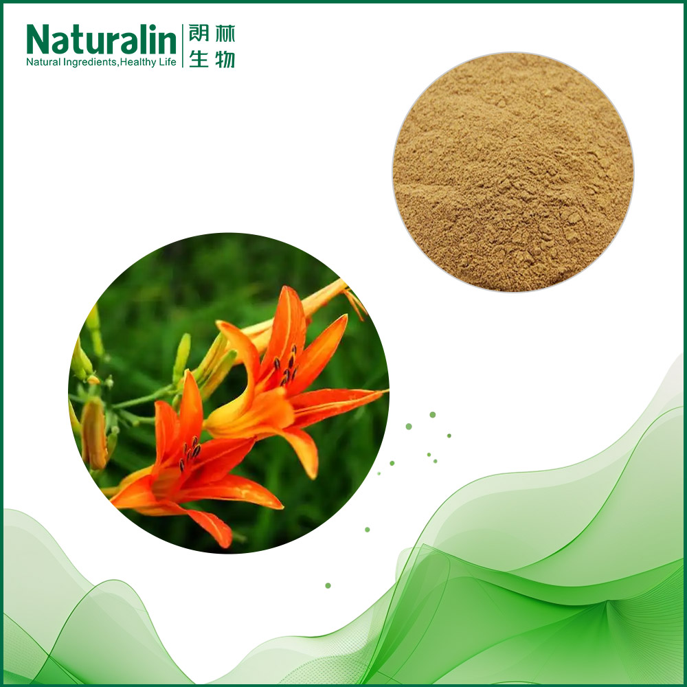 Day lilies flowers Extract