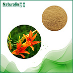 Day lilies flowers Extract
