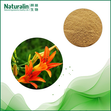 Day lilies flowers Extract