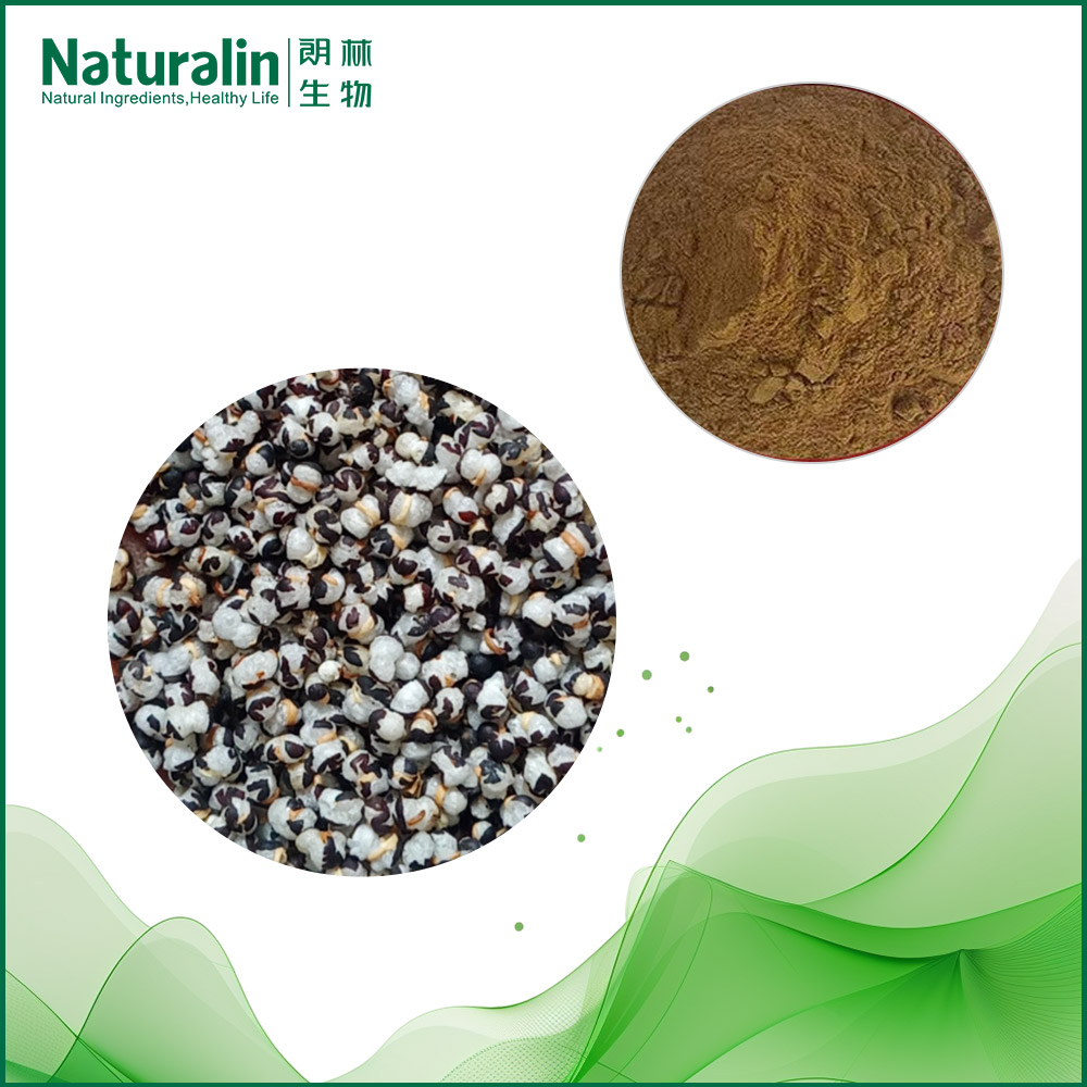 Cowherb Seed Extract  