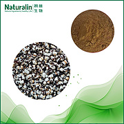 Cowherb Seed Extract