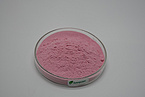 Pomegranate Fruit Powder
