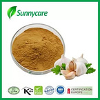 Garlic Powder