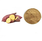 Sweet Potato Powder