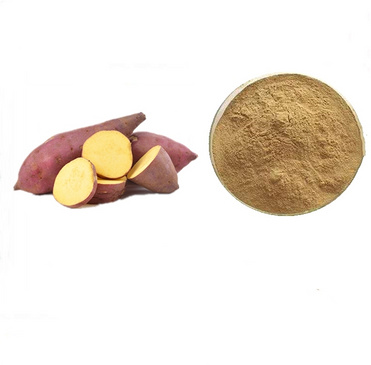 Sweet Potato Powder