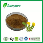 Dandelion Extract