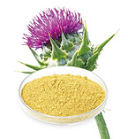 Milk Thistle Extract (Silybin 30%-33%HPLC)