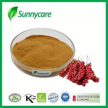 Schisandra Chinensis Powder