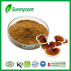 Reishi Mushroom Powder