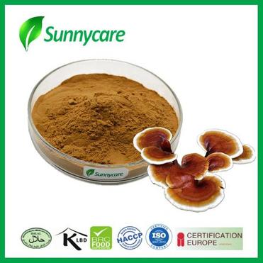 Reishi Mushroom Powder