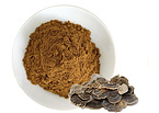 Turkey Tail Mushroom Extract