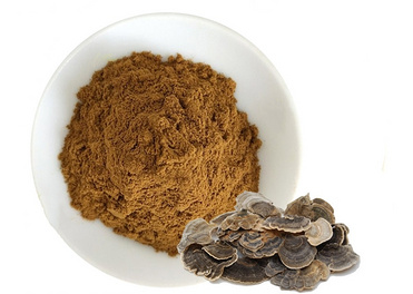 Turkey Tail Mushroom Extract