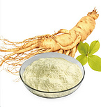 Panax Ginseng Root Powder