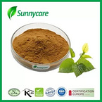 Mori Folium(Mulberry)Extract