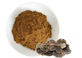 Coriolus Versicolor Powder