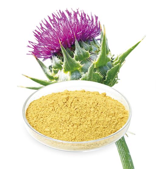 Milk Thistle Extract (Water soluble silymarin:40%/45%UV)