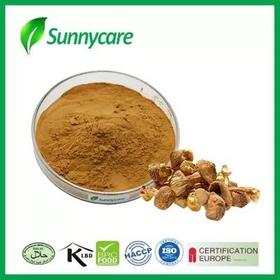 Agaricus Blazei Powder